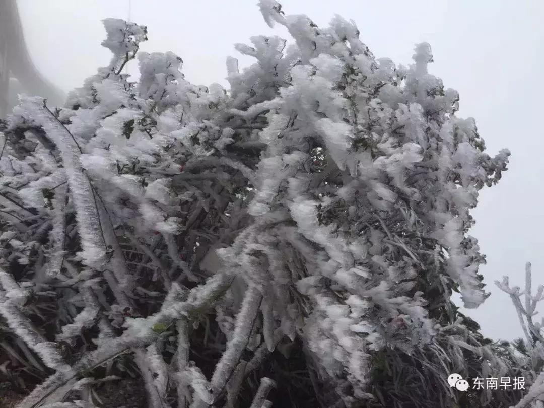 泉州九仙山下雪风景,泉州九仙山再现云海