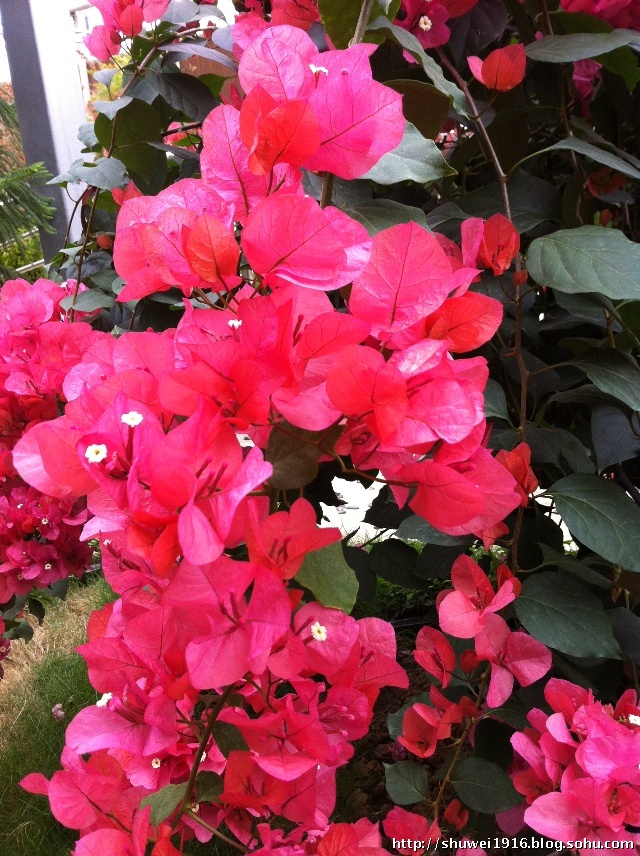 楼观台道教圣地,陕西第一福地楼观台