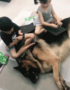 谁说怀孕要送走狗狗？如今狗狗成了孩子专属保镖啦