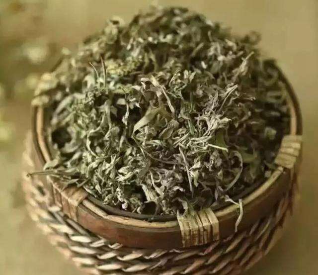 治蚊虫叮咬的可以做盆栽的野草,可以治疗蚊虫叮咬的野草