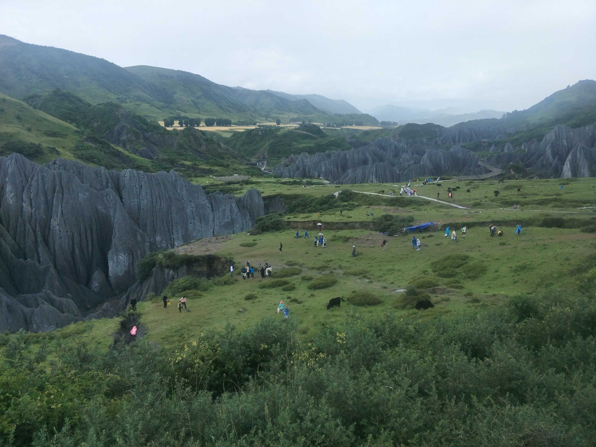 318国道沿途能感受到最明显的变化,318国道沿途的风景有哪些