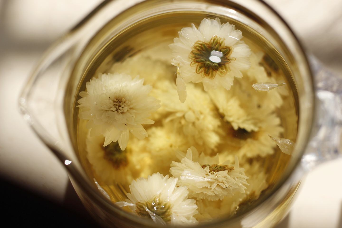 菊花有哪些虫害和危害,菊花有没有被硫磺熏过的鉴别方法