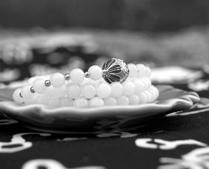 砗磲为何禁销,砗磲市场