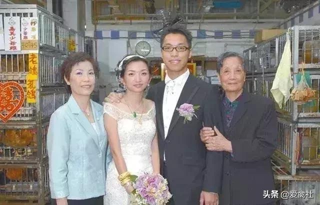 养鸡好挣钱吗,养鸡前景如何