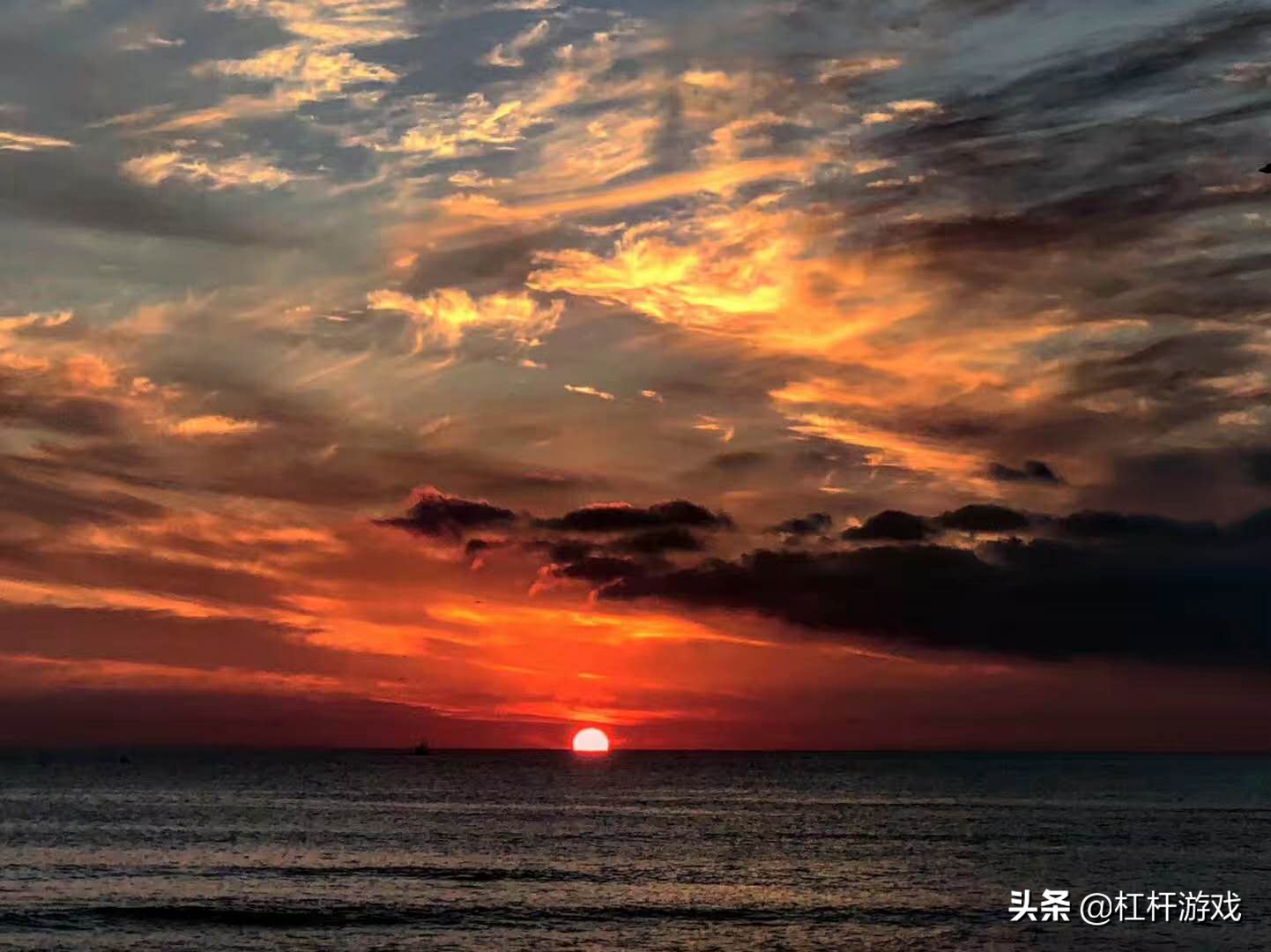 优胜教育如何摆脱困境,优胜教育北京总部现状直播