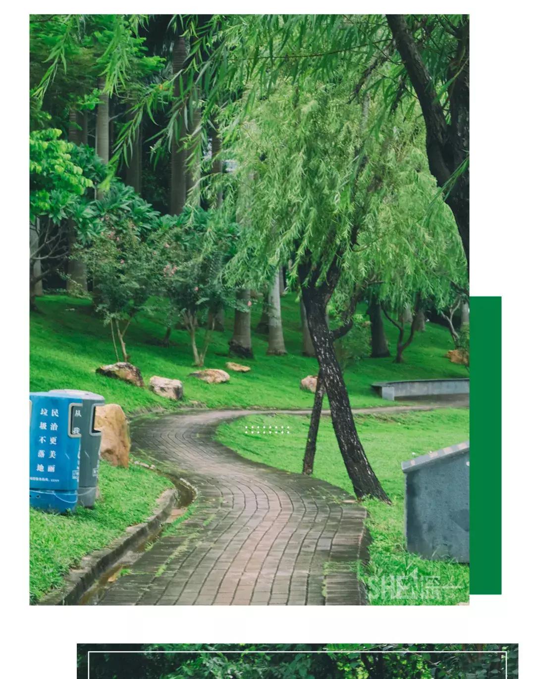 深圳市美美美,深圳最美免费水库