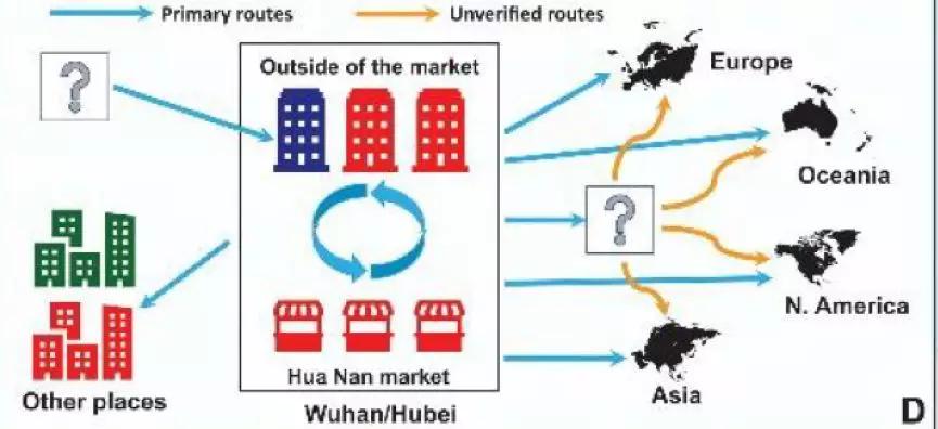 研究发现新冠病毒的源头不是华南海鲜市场，这意味着什么？