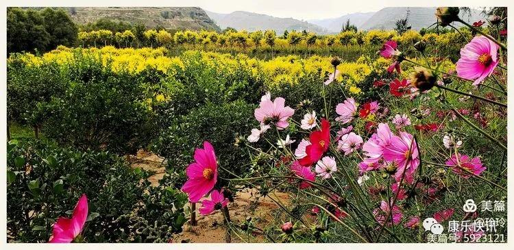 美女摄影师眼里，九月的康乐是这样的