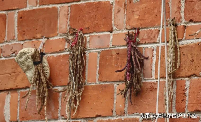 大美黄梅背面,大美黄梅作品