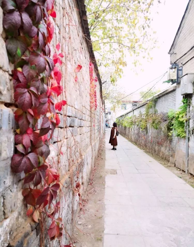 漫随天外云卷云舒原文,漫随天外云卷舒小说