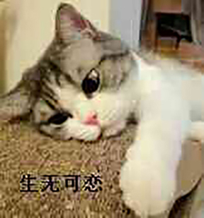 冬天你的皮肤还好吗,爱敬气垫哪个色号接近dw