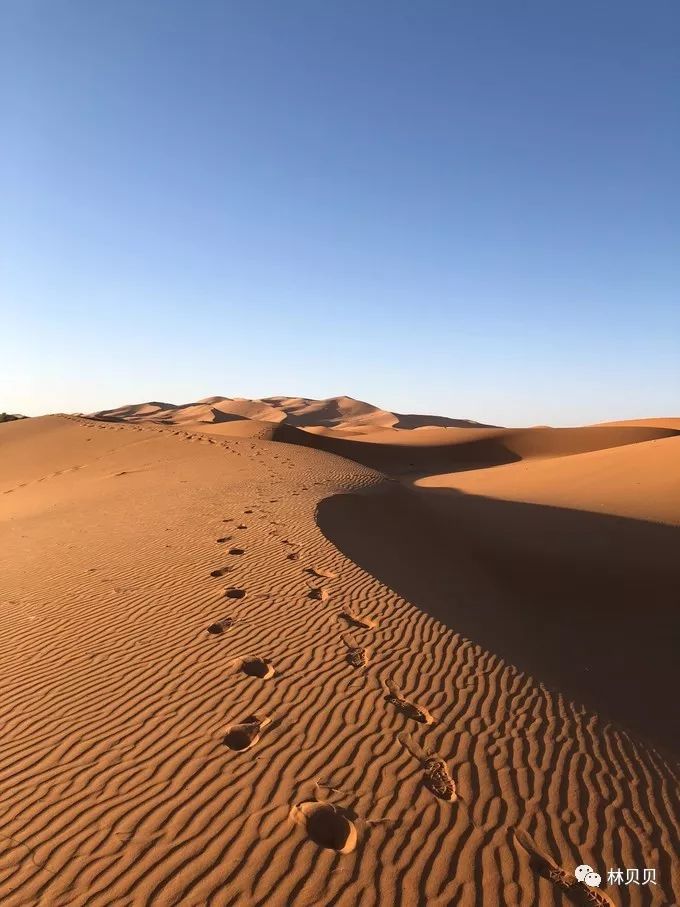 15天快速减肥10斤懒人,摩洛哥12天瘦5斤减肥成功案例