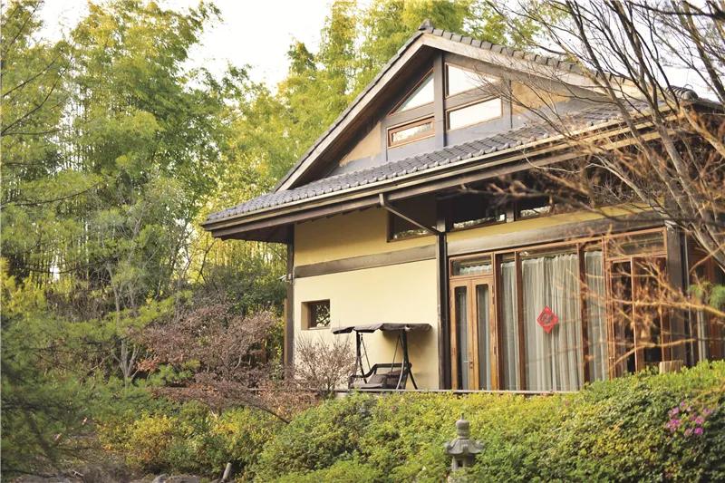 来云南一起看风景吧,来云南一起过年吧