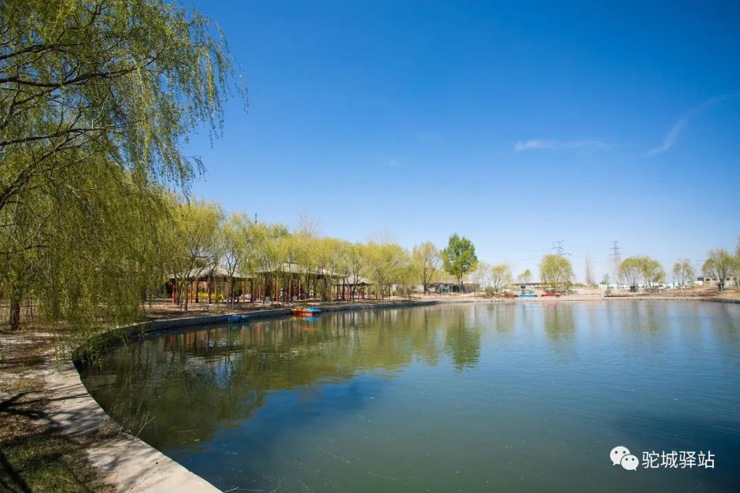 榆林芹河旅游,榆阳区周末游玩推荐