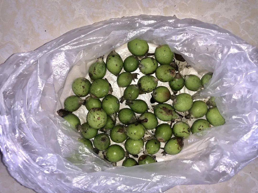 云南带毒的美食,云南带菌的美食