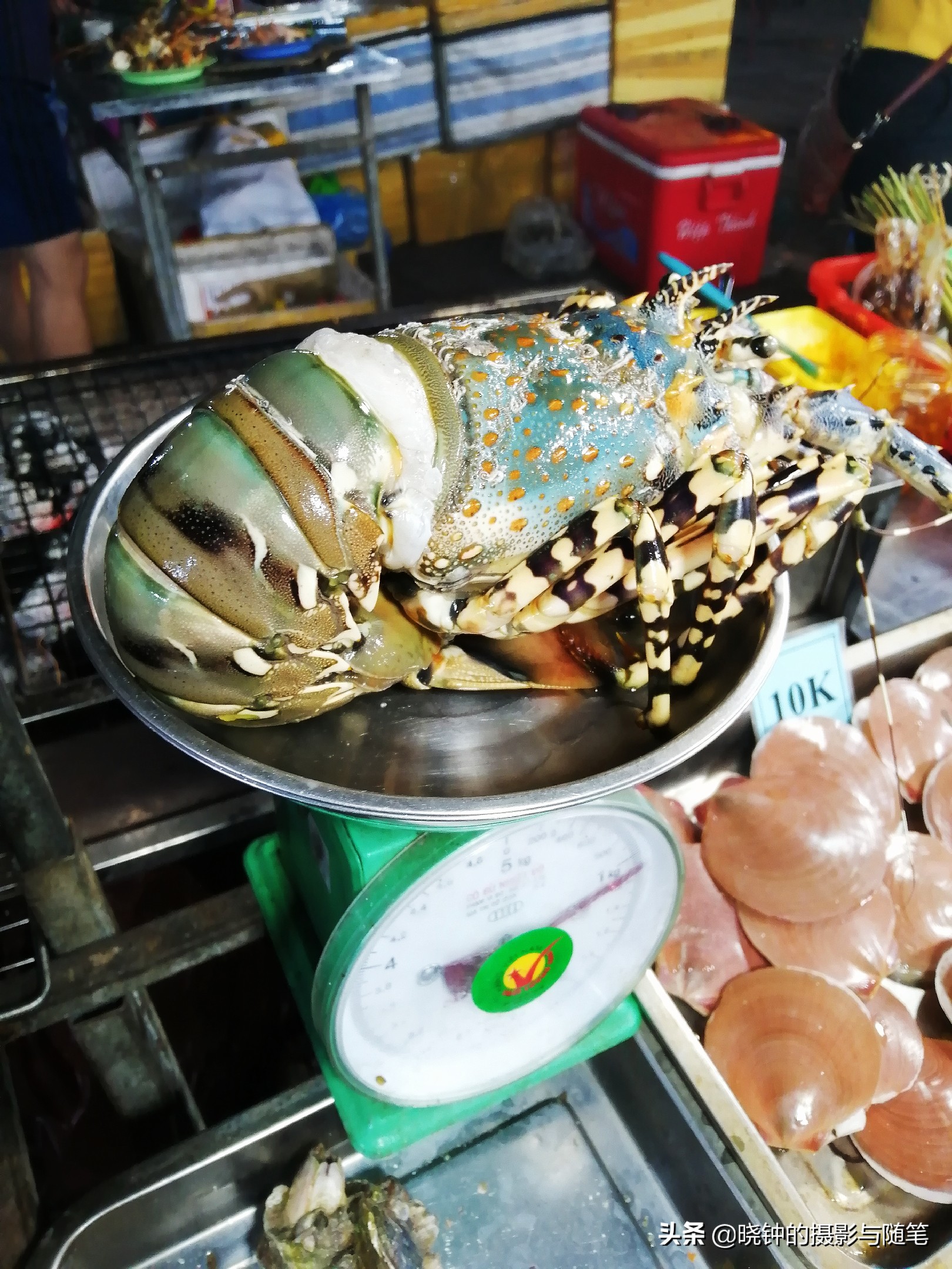 岘港最好吃的海鲜餐厅,越南旅游攻略岘港海鲜