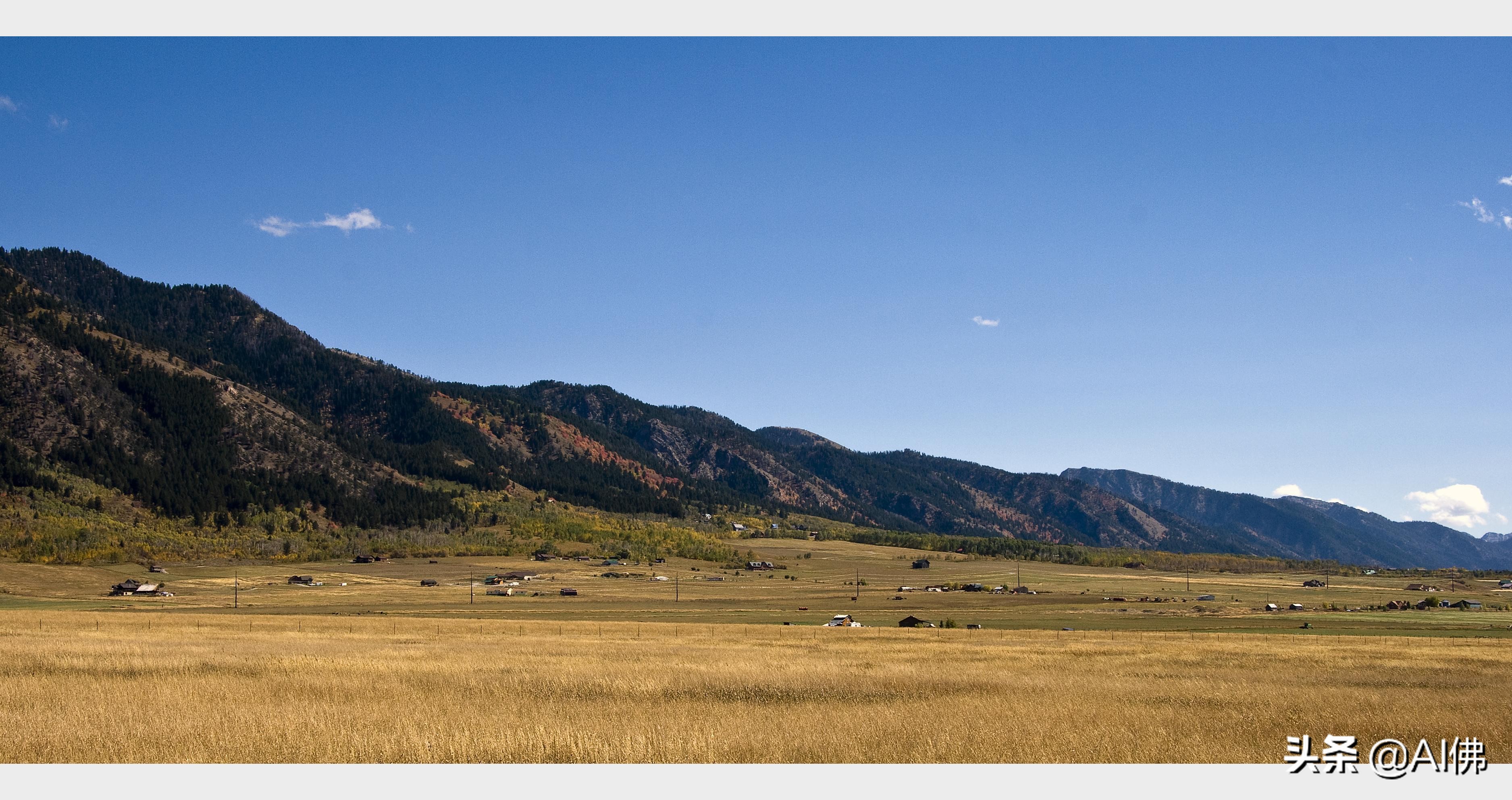 美国农田最多的州,美国哪个州的农场土地肥沃