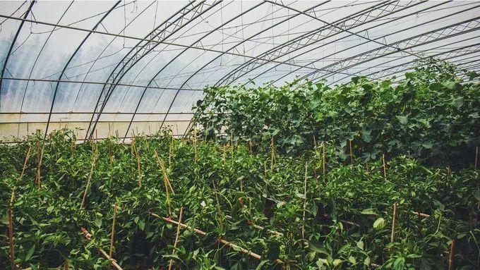 童话小镇在哪里,山东梦幻童话小镇在哪里