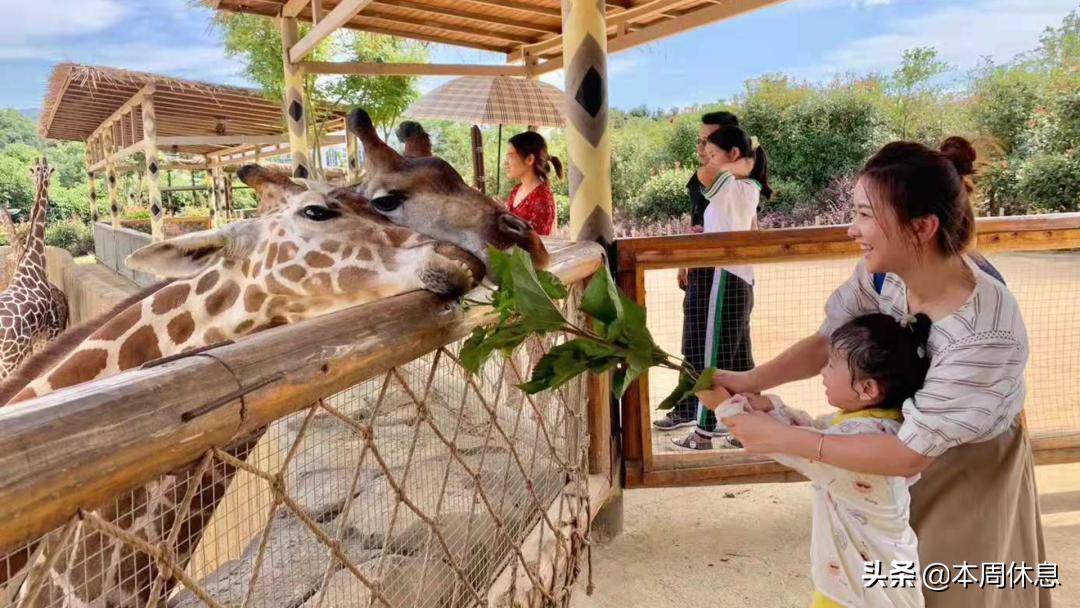 当了妈妈也可以有自己的热爱,当了妈妈后我慢慢明白了一个道理