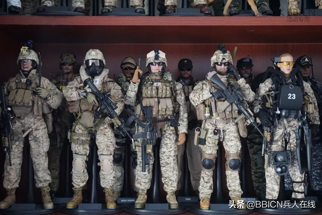 致敬人民子弟兵主题党日活动,致敬人民解放军的内容