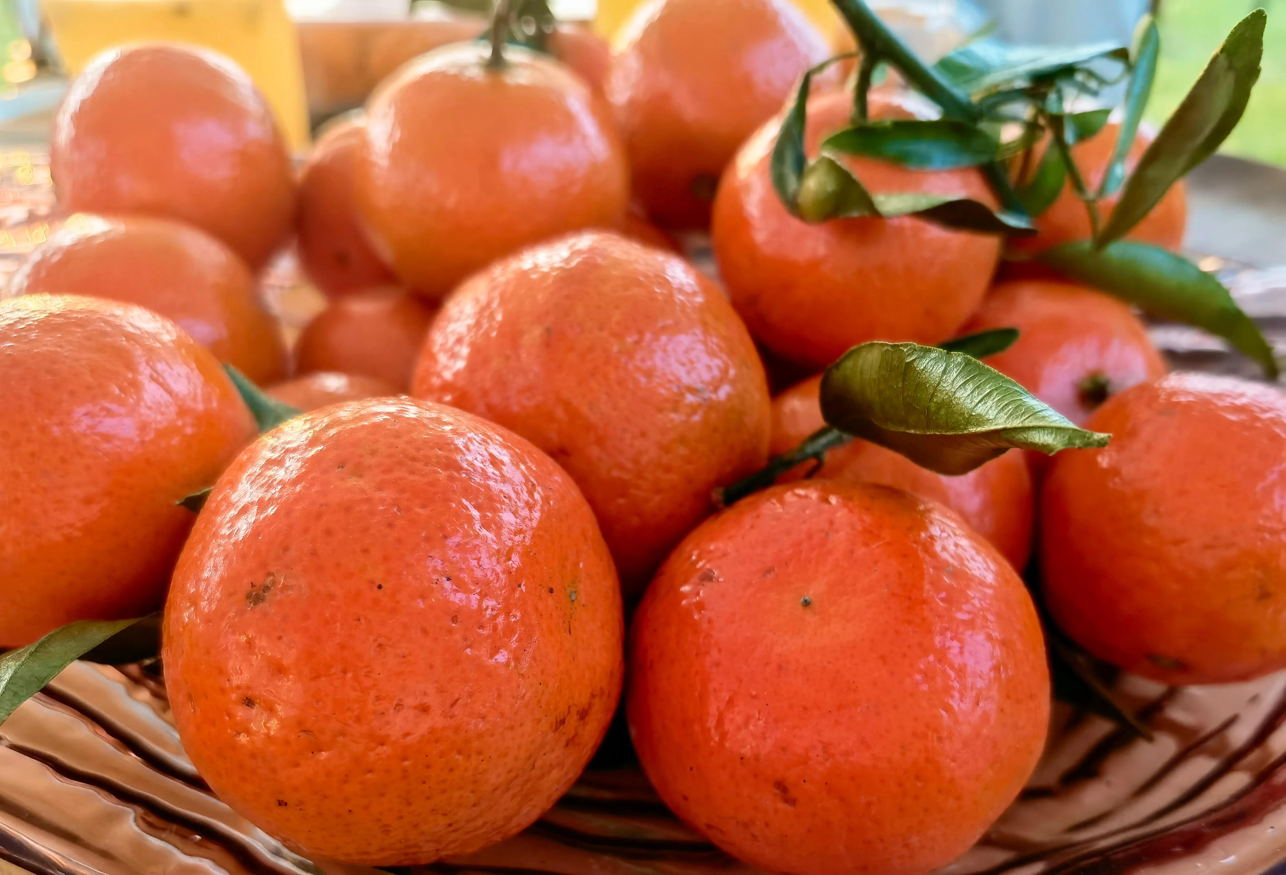 浐灞印象城meland,印象城浐灞分布图