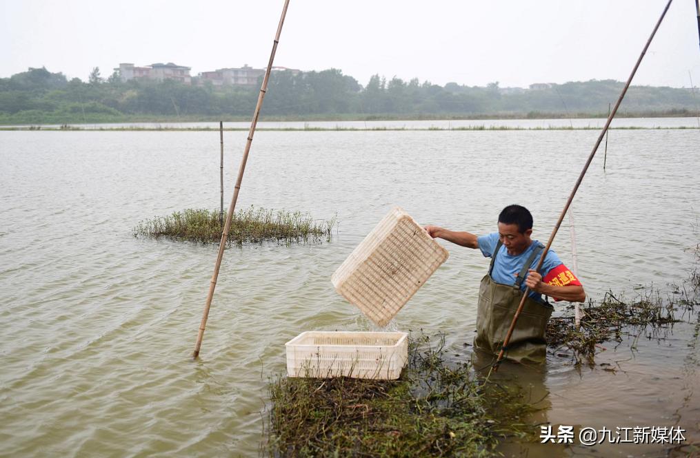 柴桑区：舍小家为大家，*党**员精神熠熠闪光