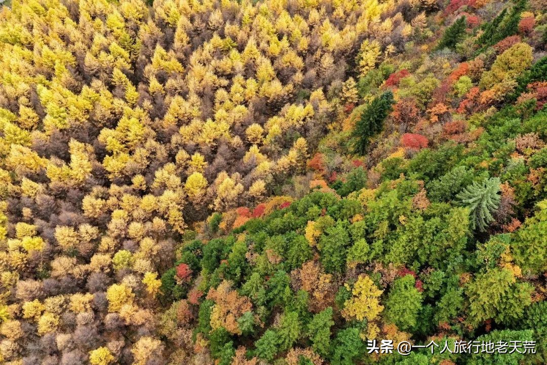 七天假旅游攻略推荐地方,拼假旅游最全攻略