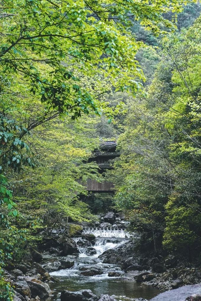 泰顺旅游自驾游景点推荐,浙南小九寨泰顺一日游