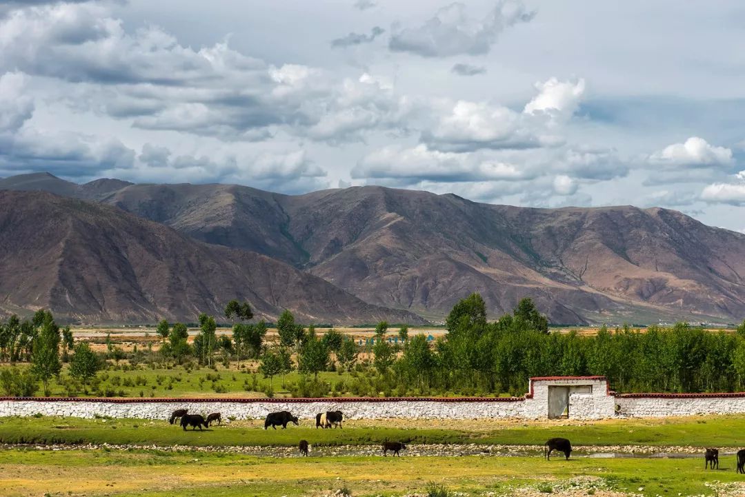 有一种风情叫江南烟雨,波密西藏江南