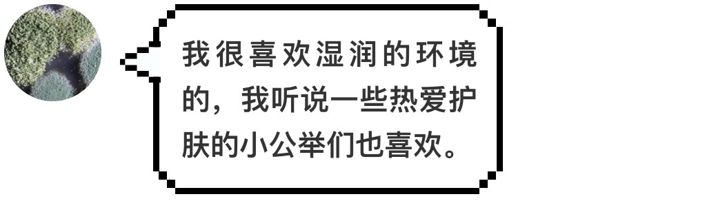 汉堡王又碰瓷麦当劳了,这次用的是发霉的汉堡