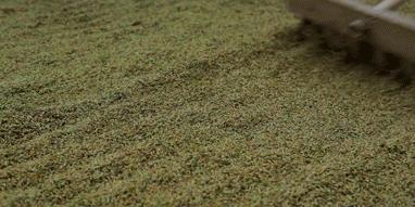 这些腌制、霉变、高温烹调的食物，长期危害着人体健康