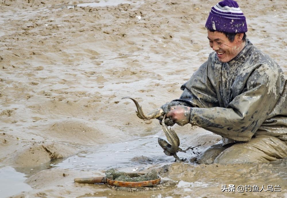 沙光鱼怎么抓最好,沙光鱼怎么烹饪才好吃