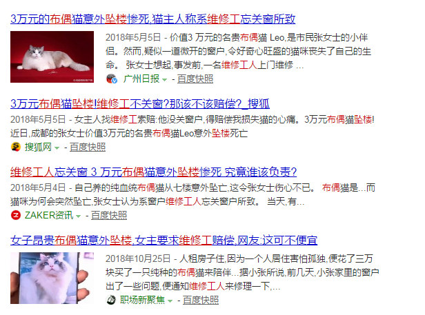 养猫不封窗的人,养猫不封窗猫为什么不会逃跑