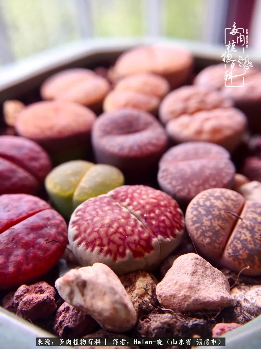 人到中年温暖如初,人到中年岁月静好