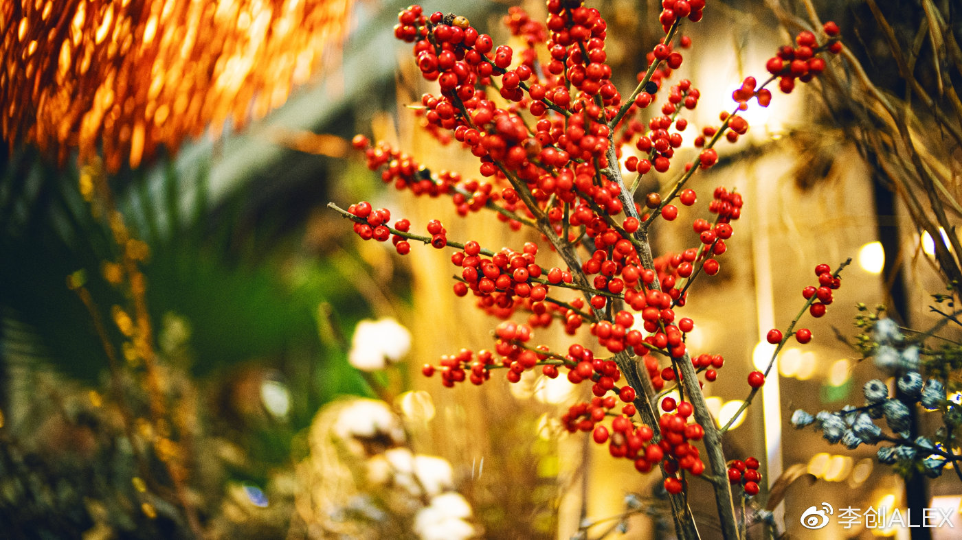 七工匠50mmf1.8镜头与55mmf1.05的区别,不到三千的旗舰机