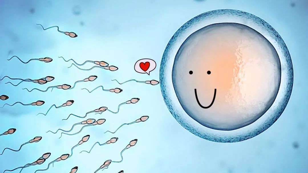 遇到生化宝贝怎么办,生化妊娠流血三天还能保胎吗