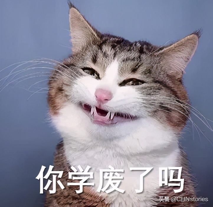 大俗碰撞大雅，被方言魔改的古诗词真上头