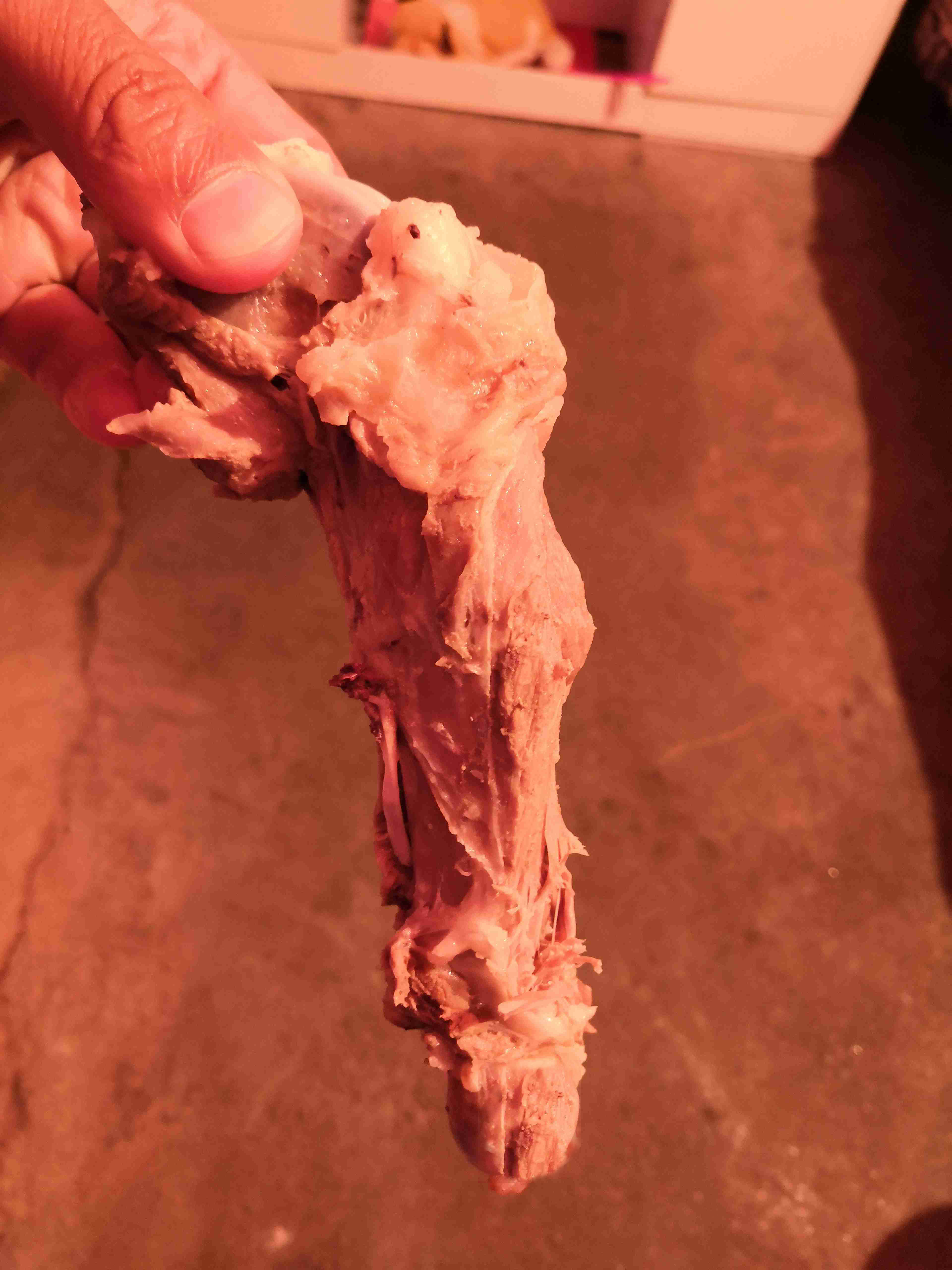 *疆新**蒙古包旅店老板,看他一天的收入多少,一个月就抵我一年工资