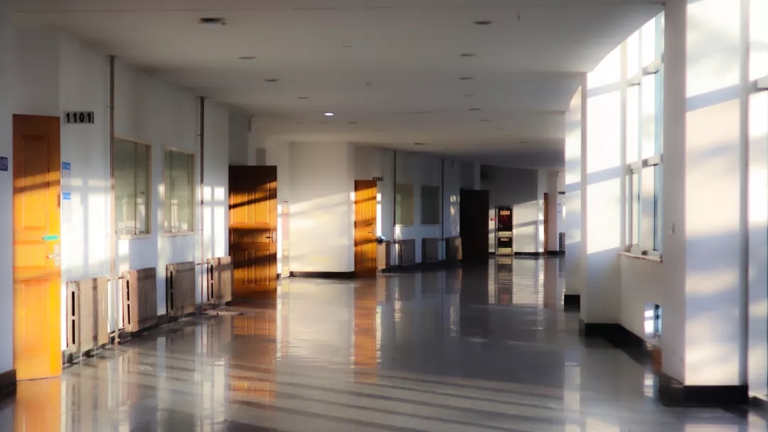 重磅!教育部最新通知:长安大学新增5个本科专业!