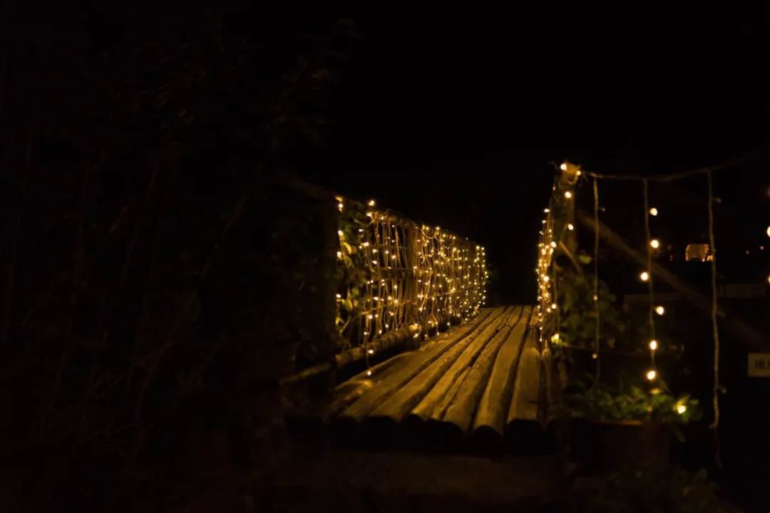 民宿管家招募,民宿管家点亮乡野生活的魔法师