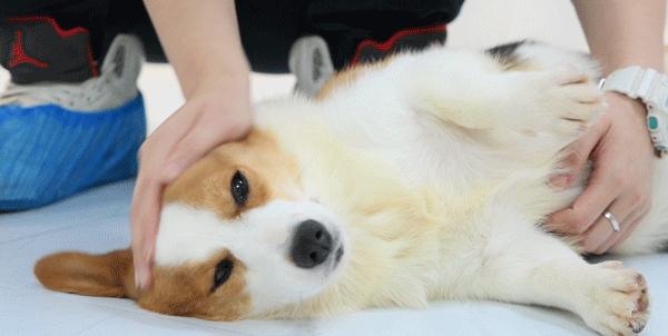 专门摸屁股的店，任摸