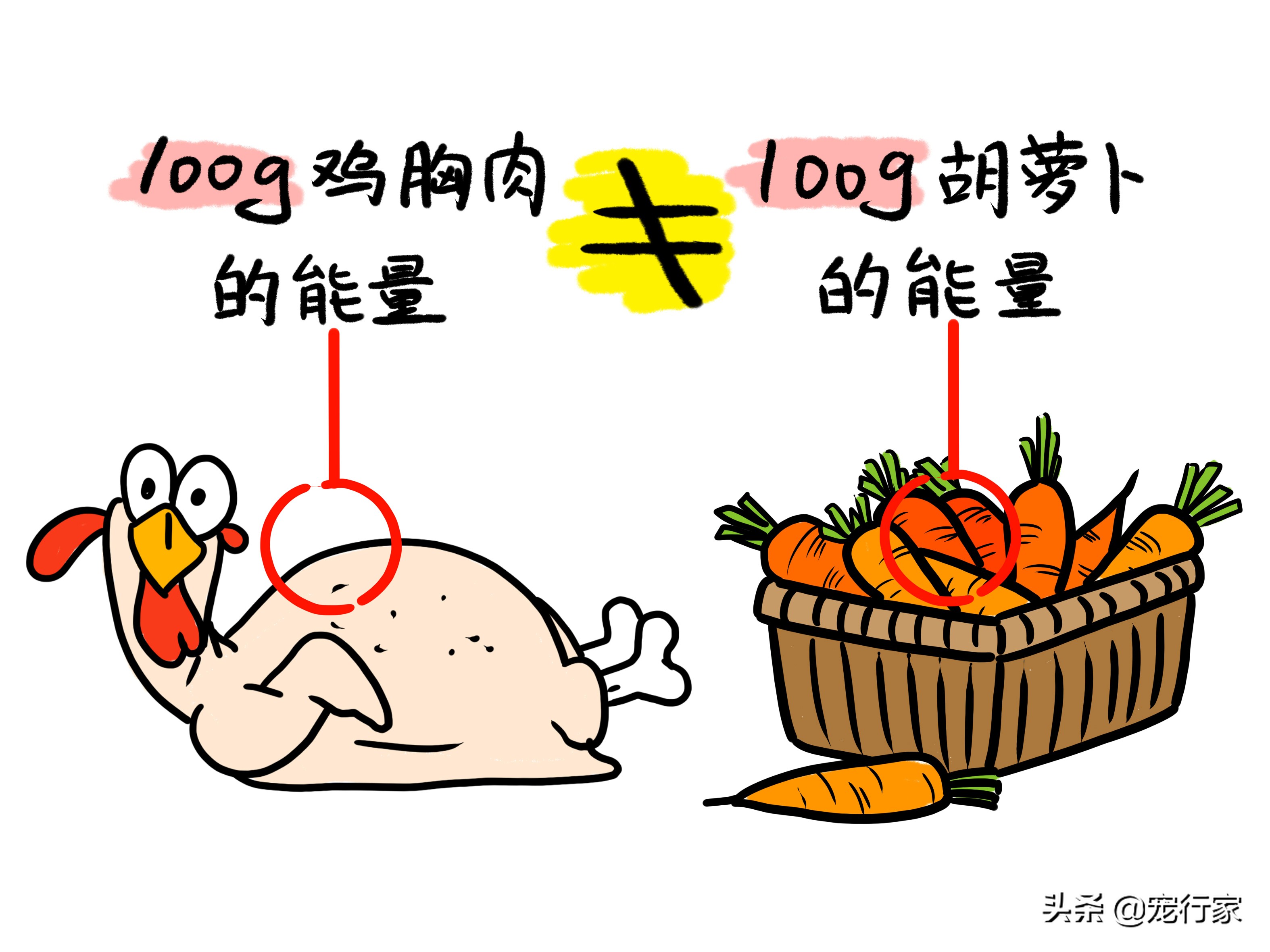 狗换粮太急拉稀了怎么办,狗的胃不消化