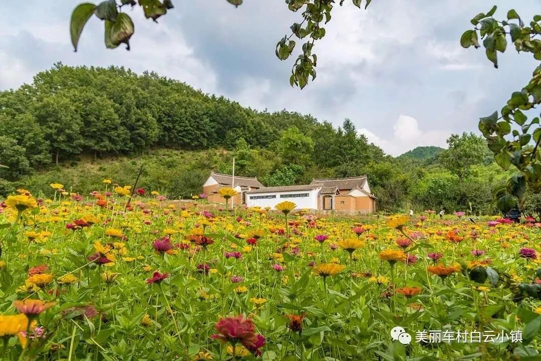 最美山里的民宿,车村镇民宿哪家好