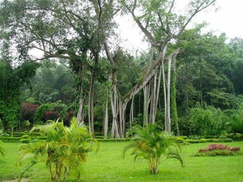云南旅游景点大全及攻略,在云南旅游必去景点大全推荐理由