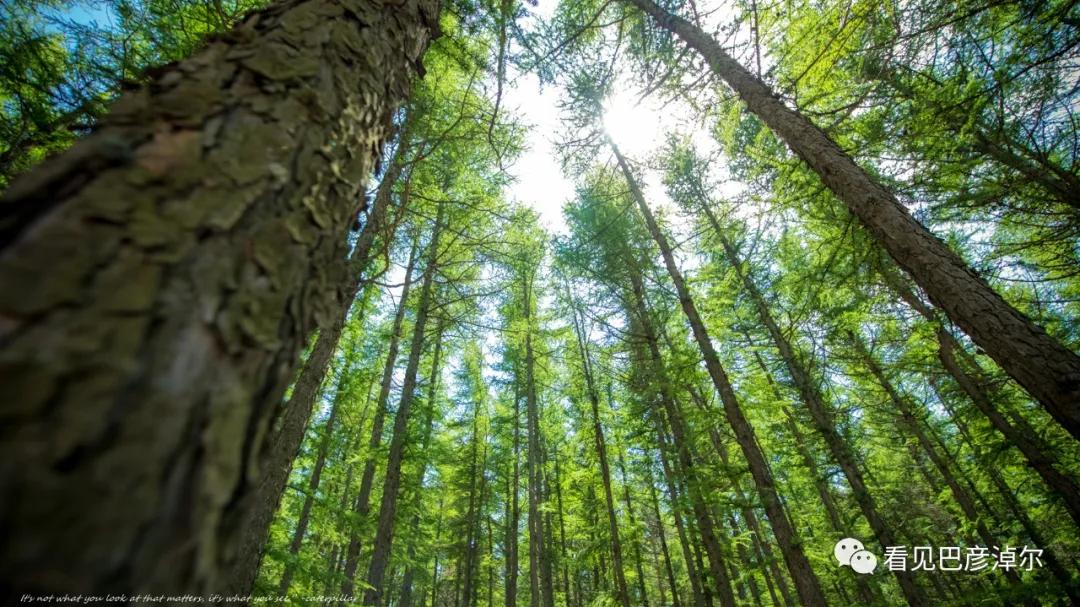 内蒙古巴彦淖尔有多美,巴彦淖尔有多美