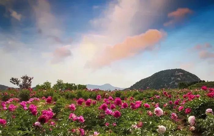 凝香集萃,四季皆美!莱芜区香山,鲁中山区的璀璨明珠