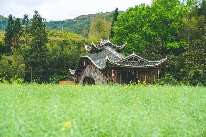 泰顺旅游自驾游景点推荐,浙南小九寨泰顺一日游