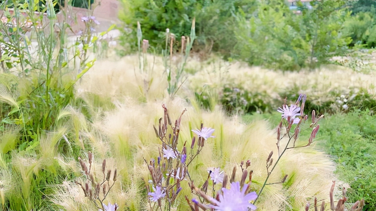 又一年浅秋，又一次想起了你：亲爱的，别来无恙？