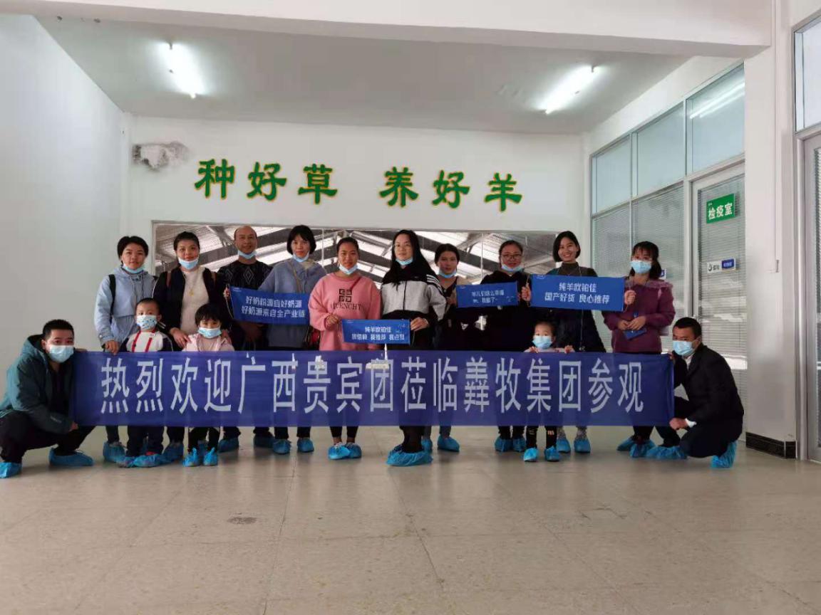 广西优贝优全团队走进欧铂佳牧场,探索国产好奶源