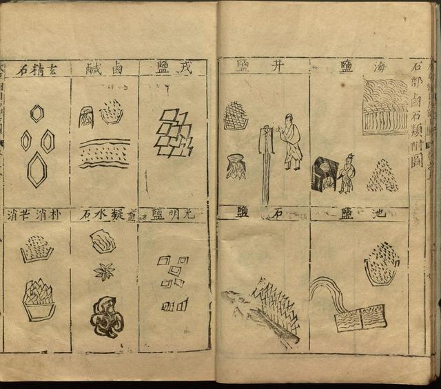 本草纲目中插图是李时珍画的吗,本草纲目李时珍插图